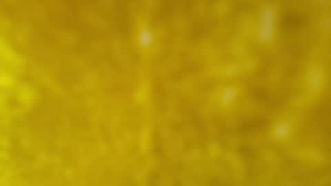 Image of Full archive of aitana_petite_ nude recordings. Monitor and record aitana_petite_ for free from Chaturbate.