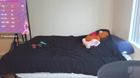 Image of Full archive of alexiajames99 nude recordings. Monitor and record alexiajames99 for free from Chaturbate.
