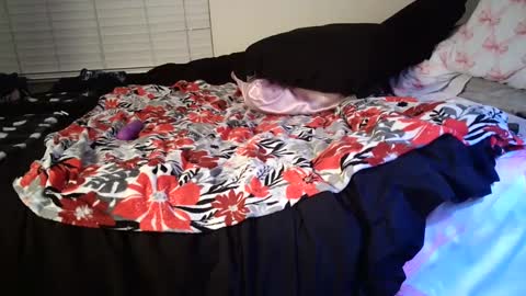 Image of Full archive of alexus_renee nude recordings. Monitor and record alexus_renee for free from Chaturbate.