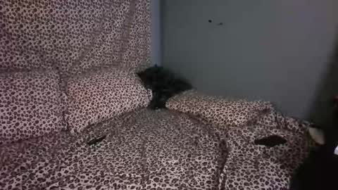 Image of Full archive of alic3bunny nude recordings. Monitor and record alic3bunny for free from Chaturbate.