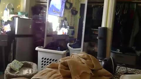Image of Full archive of allymcbealxmeow nude recordings. Monitor and record allymcbealxmeow for free from Chaturbate.