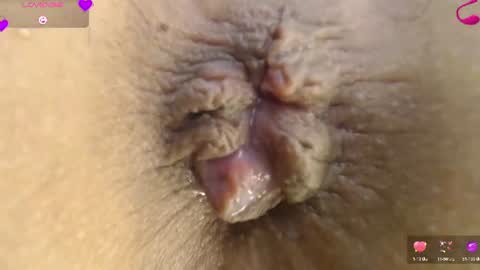 Image of Full archive of alonddra_tay nude recordings. Monitor and record alonddra_tay for free from Chaturbate.