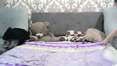 Image of Full archive of amanda_couple_ nude recordings. Monitor and record amanda_couple_ for free from Chaturbate.