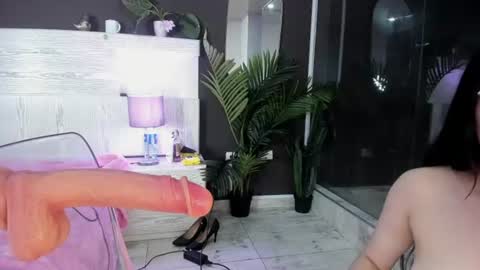 Image of Full archive of amany_dh nude recordings. Monitor and record amany_dh for free from Chaturbate.
