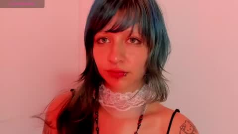 Image of Full archive of angel__dreams nude recordings. Monitor and record angel__dreams for free from Chaturbate.
