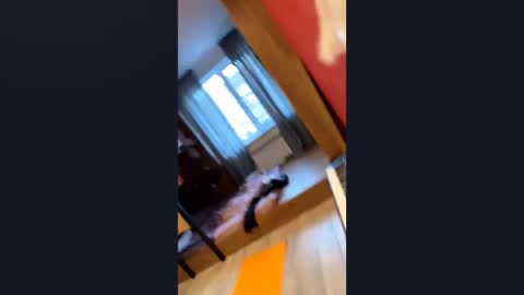 Image of Full archive of angelikasagucio nude recordings. Monitor and record angelikasagucio for free from Chaturbate.