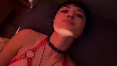 Image of Full archive of anne_roxanne nude recordings. Monitor and record anne_roxanne for free from Chaturbate.