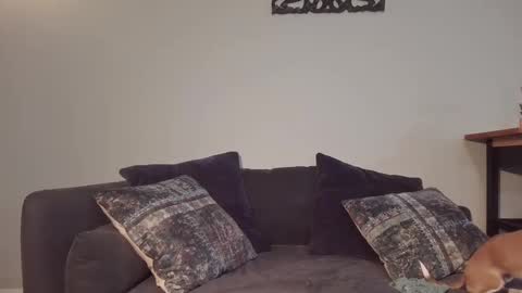 Image of Full archive of ashescee nude recordings. Monitor and record ashescee for free from Chaturbate.