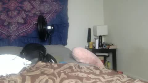 Image of Full archive of backdoorbunnybabex nude recordings. Monitor and record backdoorbunnybabex for free from Chaturbate.