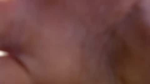 Image of Full archive of bartart128 nude recordings. Monitor and record bartart128 for free from Chaturbate.