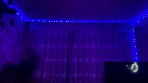 Image of Full archive of batty_glow nude recordings. Monitor and record batty_glow for free from Chaturbate.