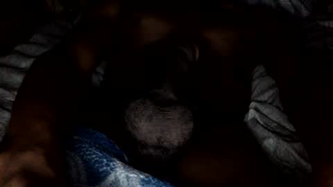 Image of Full archive of bbcauseican nude recordings. Monitor and record bbcauseican for free from Chaturbate.