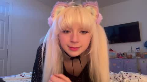 Image of Full archive of bbkittengirl nude recordings. Monitor and record bbkittengirl for free from Chaturbate.