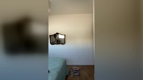 Image of Full archive of biancadelmar nude recordings. Monitor and record biancadelmar for free from Chaturbate.