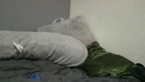 Image of Full archive of billienelson nude recordings. Monitor and record billienelson for free from Chaturbate.