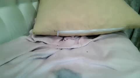 Image of Full archive of bonnieexcite nude recordings. Monitor and record bonnieexcite for free from Chaturbate.