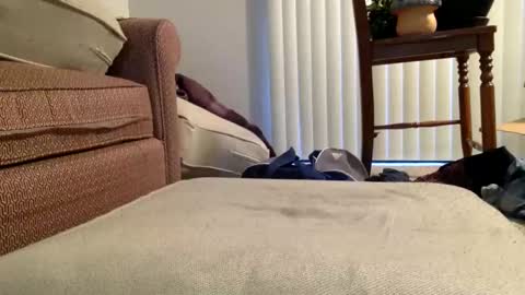 Image of Full archive of bored_dad3 nude recordings. Monitor and record bored_dad3 for free from Chaturbate.