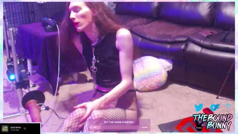 Image of Full archive of boundbunny98 nude recordings. Monitor and record boundbunny98 for free from Chaturbate.