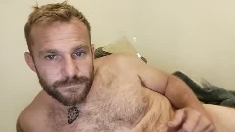 Image of Full archive of bullnextdoor88 nude recordings. Monitor and record bullnextdoor88 for free from Chaturbate.