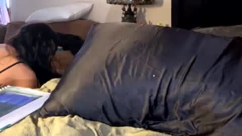 Image of Full archive of bxm444 nude recordings. Monitor and record bxm444 for free from Chaturbate.