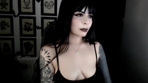 Image of Full archive of catblvck nude recordings. Monitor and record catblvck for free from Chaturbate.