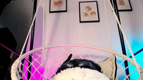 Image of Full archive of cellestequeen2 nude recordings. Monitor and record cellestequeen2 for free from Chaturbate.