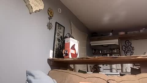 Image of Full archive of cggirl85 nude recordings. Monitor and record cggirl85 for free from Chaturbate.