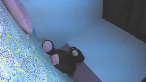 Image of Full archive of chantellebony nude recordings. Monitor and record chantellebony for free from Chaturbate.
