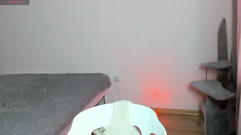 Image of Full archive of choco_meowx nude recordings. Monitor and record choco_meowx for free from Chaturbate.