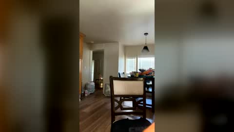 Image of Full archive of cinnamonbunniiii nude recordings. Monitor and record cinnamonbunniiii for free from Chaturbate.