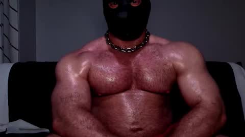 Image of Full archive of curiousmuscleboy nude recordings. Monitor and record curiousmuscleboy for free from Chaturbate.