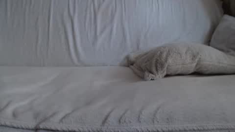 Image of Full archive of danaperfect nude recordings. Monitor and record danaperfect for free from Chaturbate.