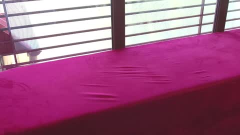 Image of Full archive of diamond_joey nude recordings. Monitor and record diamond_joey for free from Chaturbate.