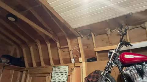 Image of Full archive of dknudwn13 nude recordings. Monitor and record dknudwn13 for free from Chaturbate.