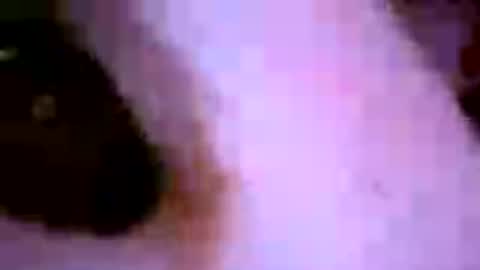 Image of Full archive of dylp400 nude recordings. Monitor and record dylp400 for free from Chaturbate.