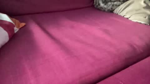 Image of Full archive of ellehendrix nude recordings. Monitor and record ellehendrix for free from Chaturbate.