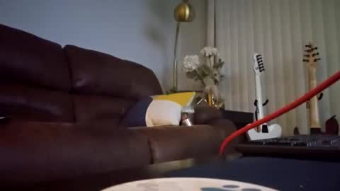 Image of Full archive of floridabull7 nude recordings. Monitor and record floridabull7 for free from Chaturbate.