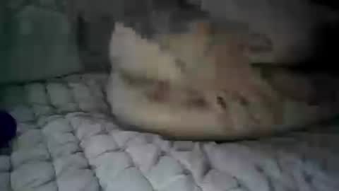 Image of Full archive of foryourpleasure420 nude recordings. Monitor and record foryourpleasure420 for free from Chaturbate.
