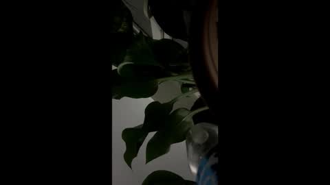 Image of Full archive of frost_berry nude recordings. Monitor and record frost_berry for free from Chaturbate.