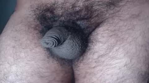 Image of Full archive of furryassholexx nude recordings. Monitor and record furryassholexx for free from Chaturbate.