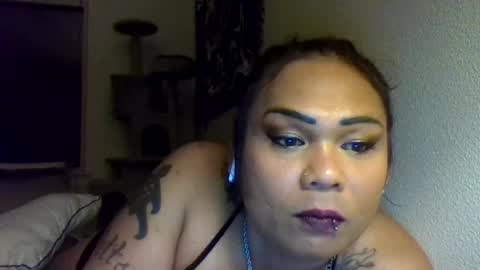 Image of Full archive of gabrielllapotts12thave nude recordings. Monitor and record gabrielllapotts12thave for free from Chaturbate.