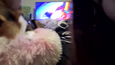 Image of Full archive of gamergirlsky97 nude recordings. Monitor and record gamergirlsky97 for free from Chaturbate.