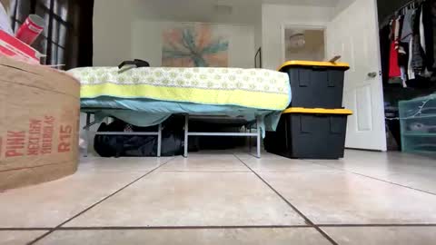 Image of Full archive of getngetout88 nude recordings. Monitor and record getngetout88 for free from Chaturbate.