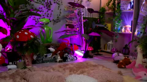 Image of Full archive of haileycoles nude recordings. Monitor and record haileycoles for free from Chaturbate.
