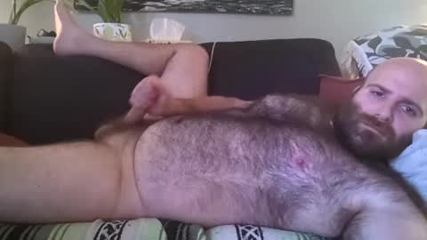 Image of Full archive of hairiestbear nude recordings. Monitor and record hairiestbear for free from Chaturbate.