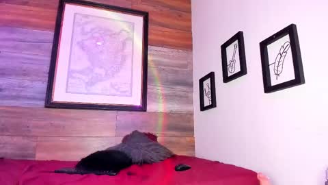 Image of Full archive of hannahshy_ nude recordings. Monitor and record hannahshy_ for free from Chaturbate.