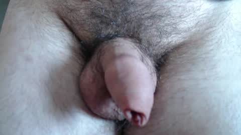 Image of Full archive of hansjosef1 nude recordings. Monitor and record hansjosef1 for free from Chaturbate.