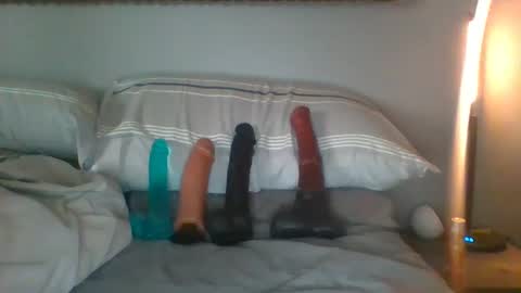 Image of Full archive of horsegirl87 nude recordings. Monitor and record horsegirl87 for free from Chaturbate.