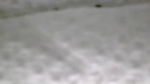 Image of Full archive of iamgoat_69 nude recordings. Monitor and record iamgoat_69 for free from Chaturbate.