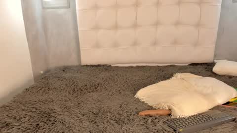 Image of Full archive of im_alisson_ nude recordings. Monitor and record im_alisson_ for free from Chaturbate.